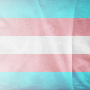 Transgender flag. The flag has five horizontal stripes: the centre stripe is white; above and below it are pink stripes; and the top and bottom stripes are blue